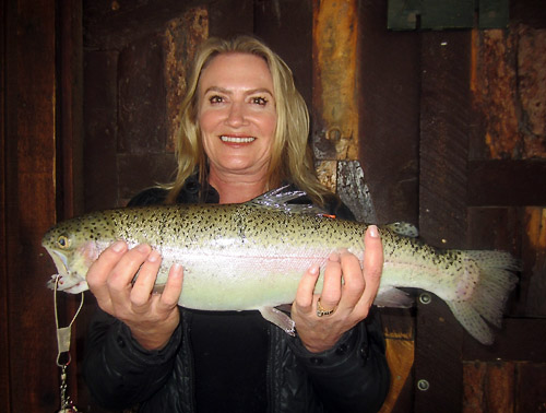 Laurie Kaiser